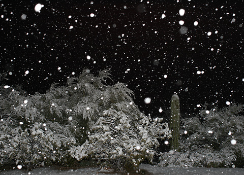 [Tucson-snow-night-2.jpg]