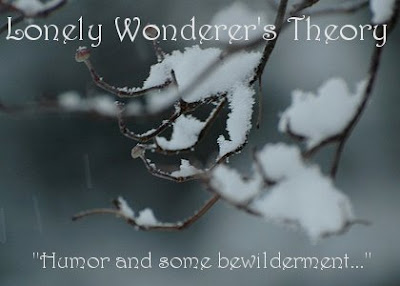 Lonely Wonderer's Theory's album, Humor and Some Bewilderment