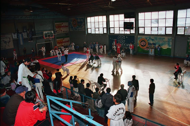 Torneo Tae Kwon Do Llanquihue, abril 2008
