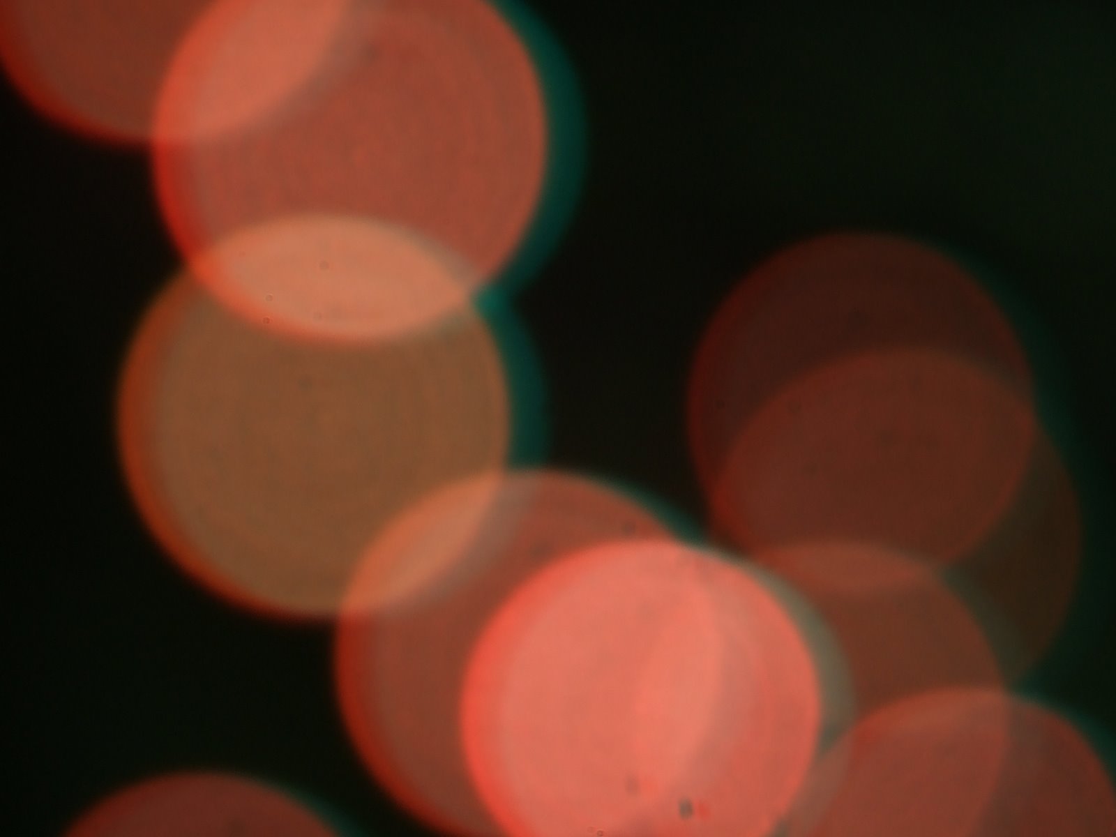[Really+close+up+fiber+optic+Christmas+tree+lights+9.jpg]