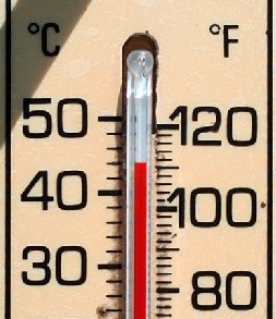 [Thermometer.jpg]