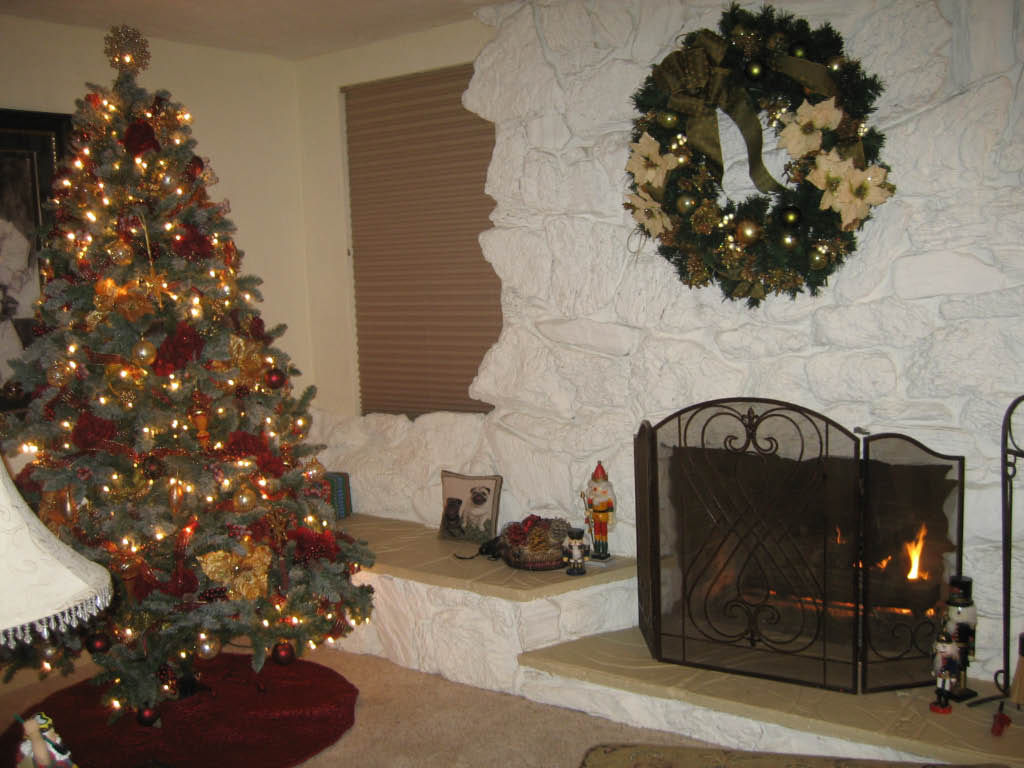 [Christmas+tree+2007]