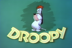 [Droopy.png]