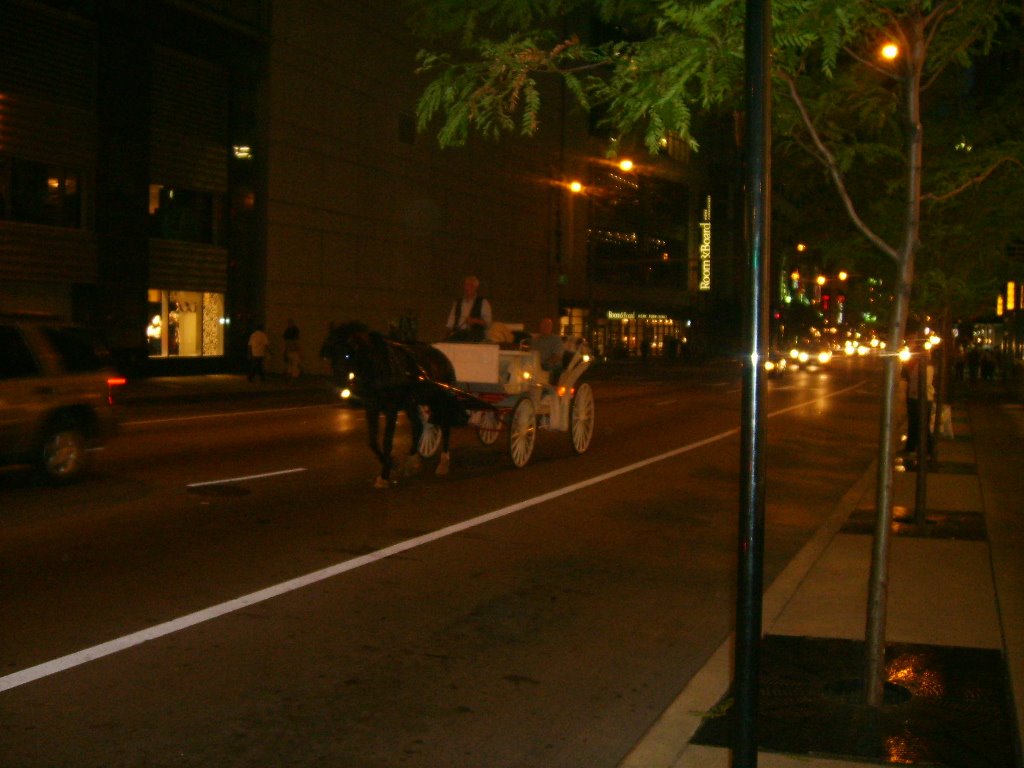 [Carriage+ride+through+Chicago.JPG]