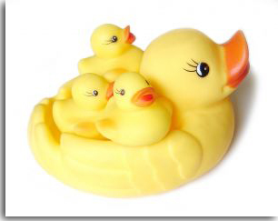 [duck_family.jpg]