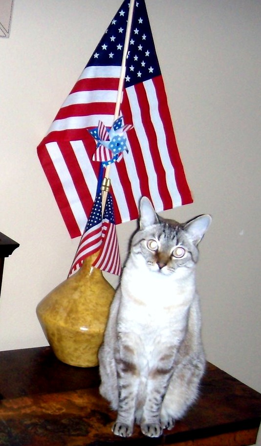 [Kitty+and+flags.jpg]