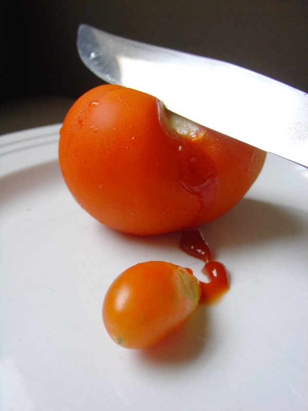 [Tomate+(12).JPG]