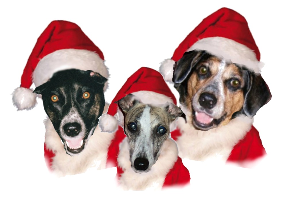 [Santa+Dogs.jpg]