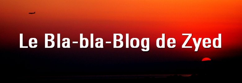 Le Bla-bla-Blog de ZyeD