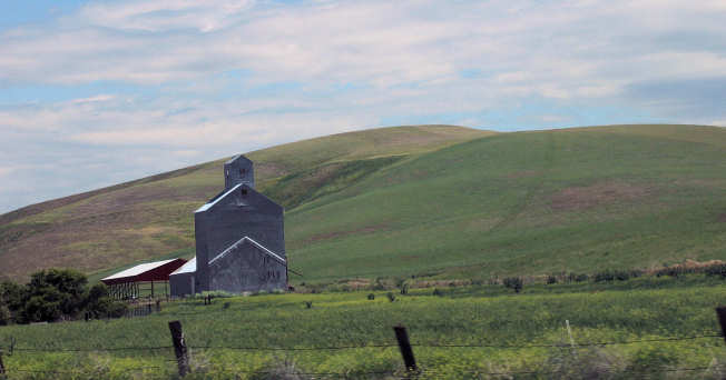 [rural+scene+landscape+crop.jpg]
