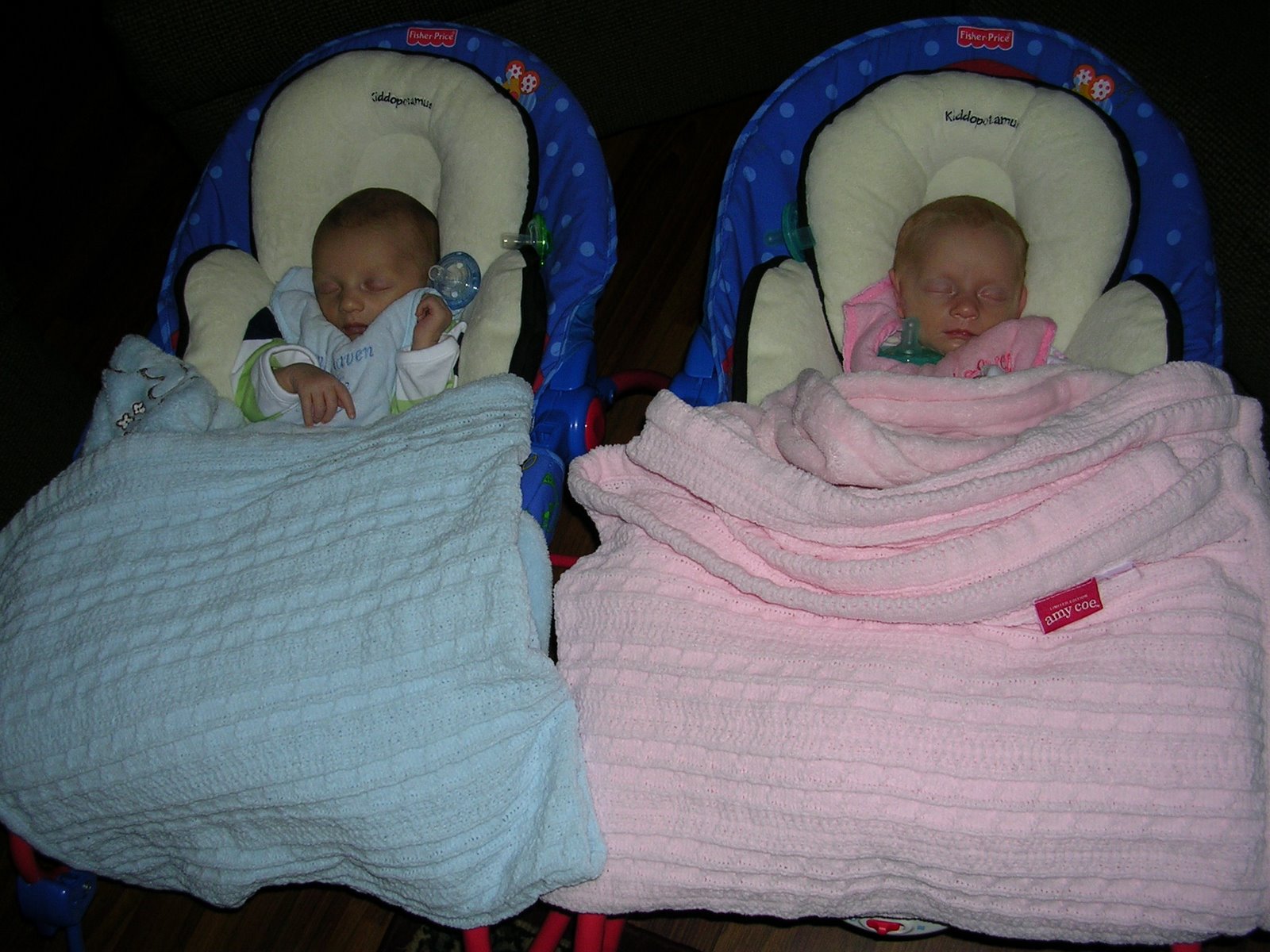 [Twins+in+their+chair]