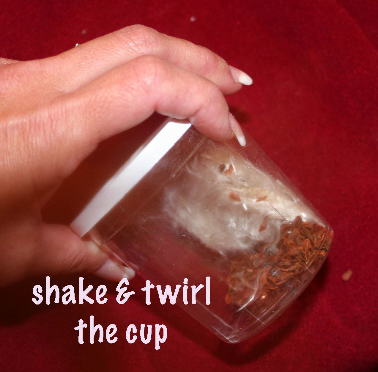 [shake+cup+for+blog.jpg]