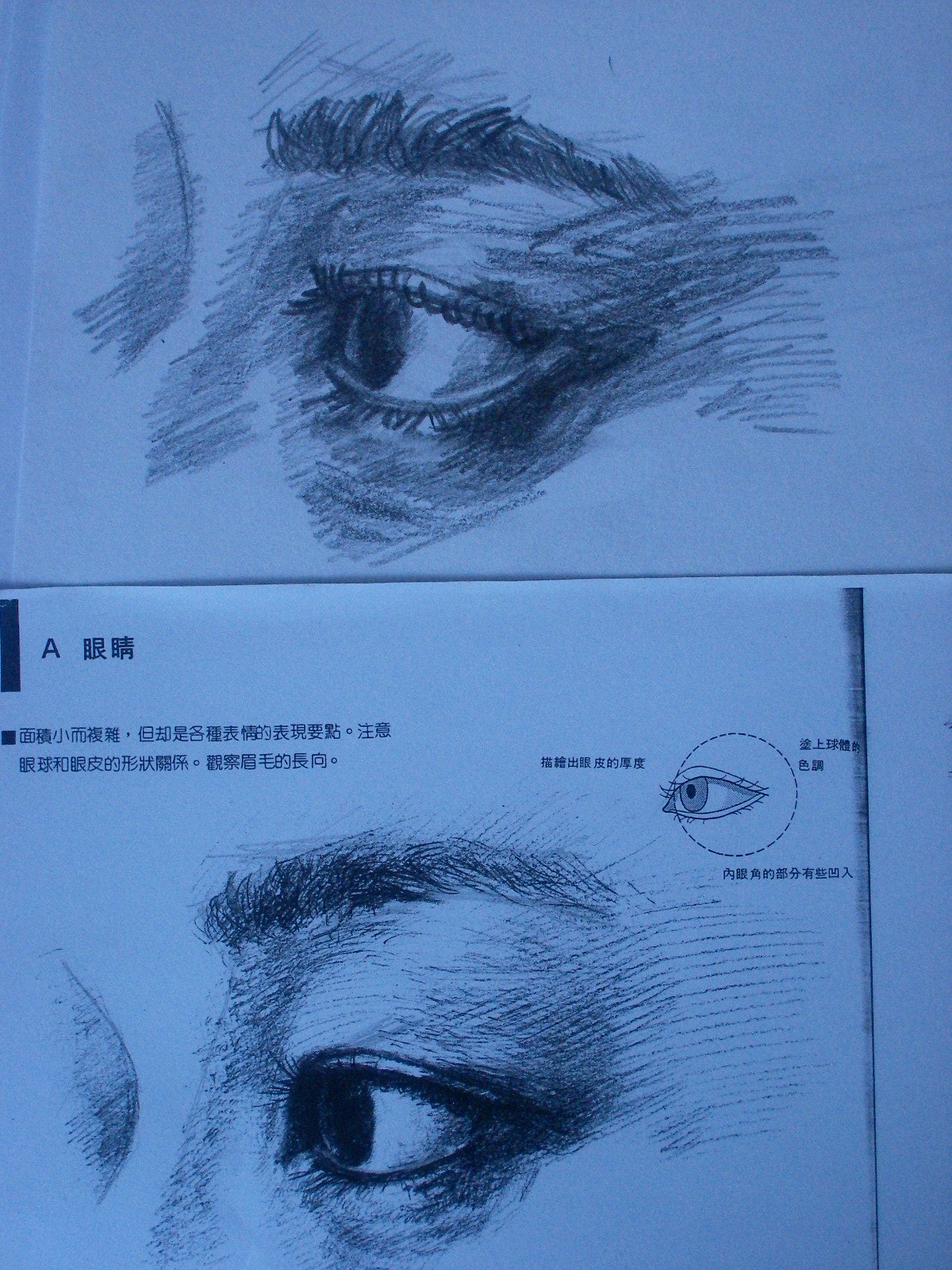 [eye-1.jpg]