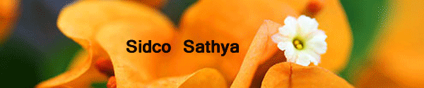 Sidco Sathya writes