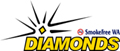 [au_diamonds_teams.jpg]
