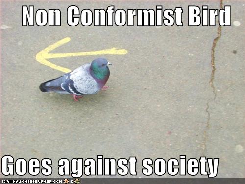 [funny-pictures-non-conformist-bird.jpg]