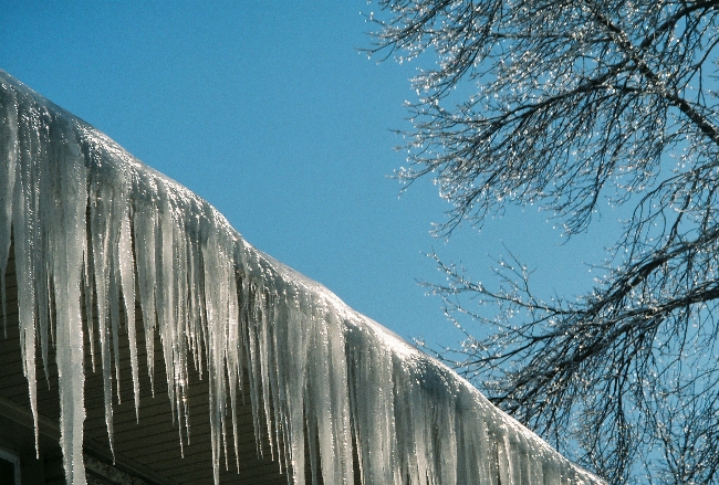 [Feb17Storm-20_back-icicles.JPG]