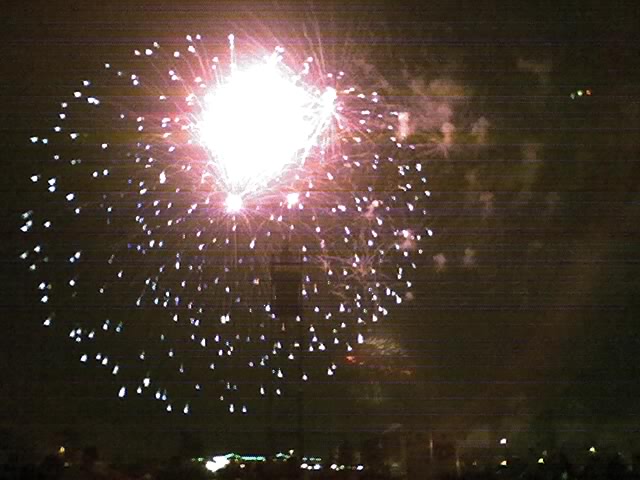 [fireworks2008.jpg]