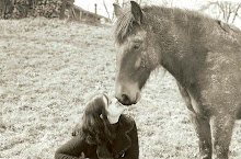 Prince des Vielles... mon petit cheval et moi !