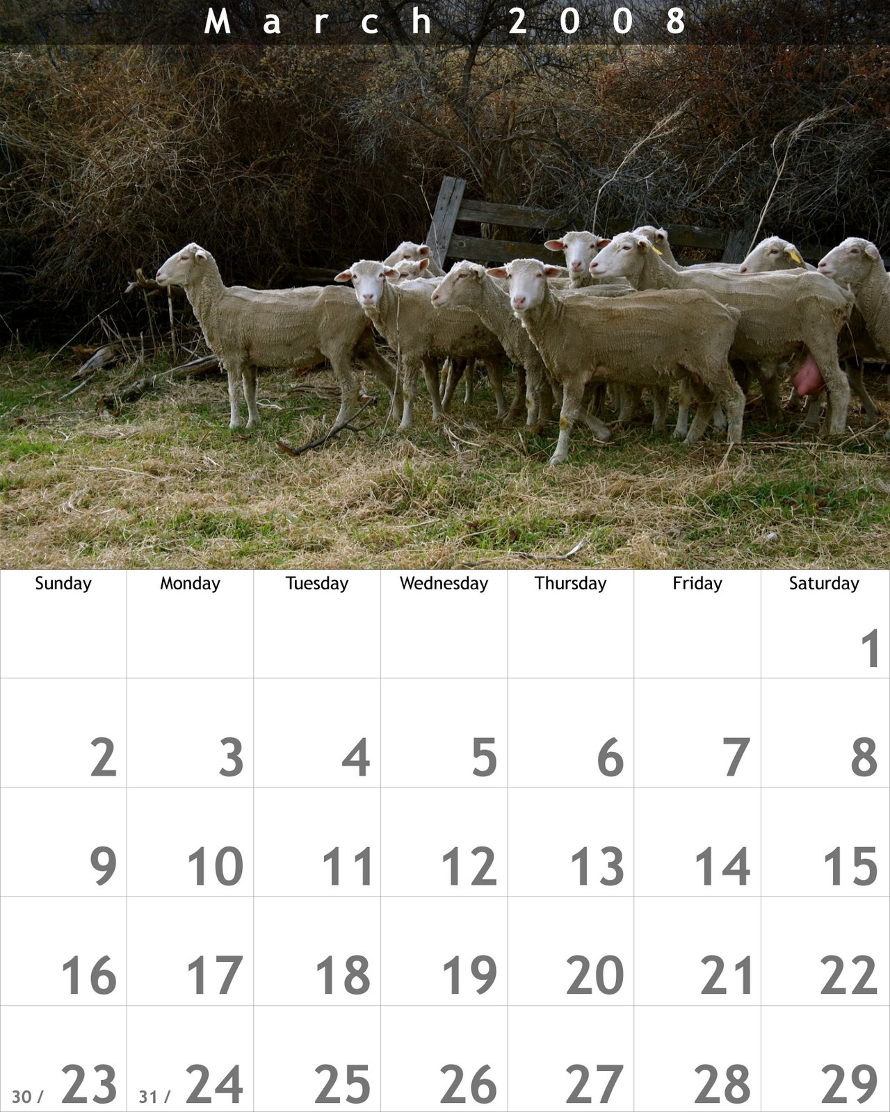 [Calendar+March+2008.jpg]
