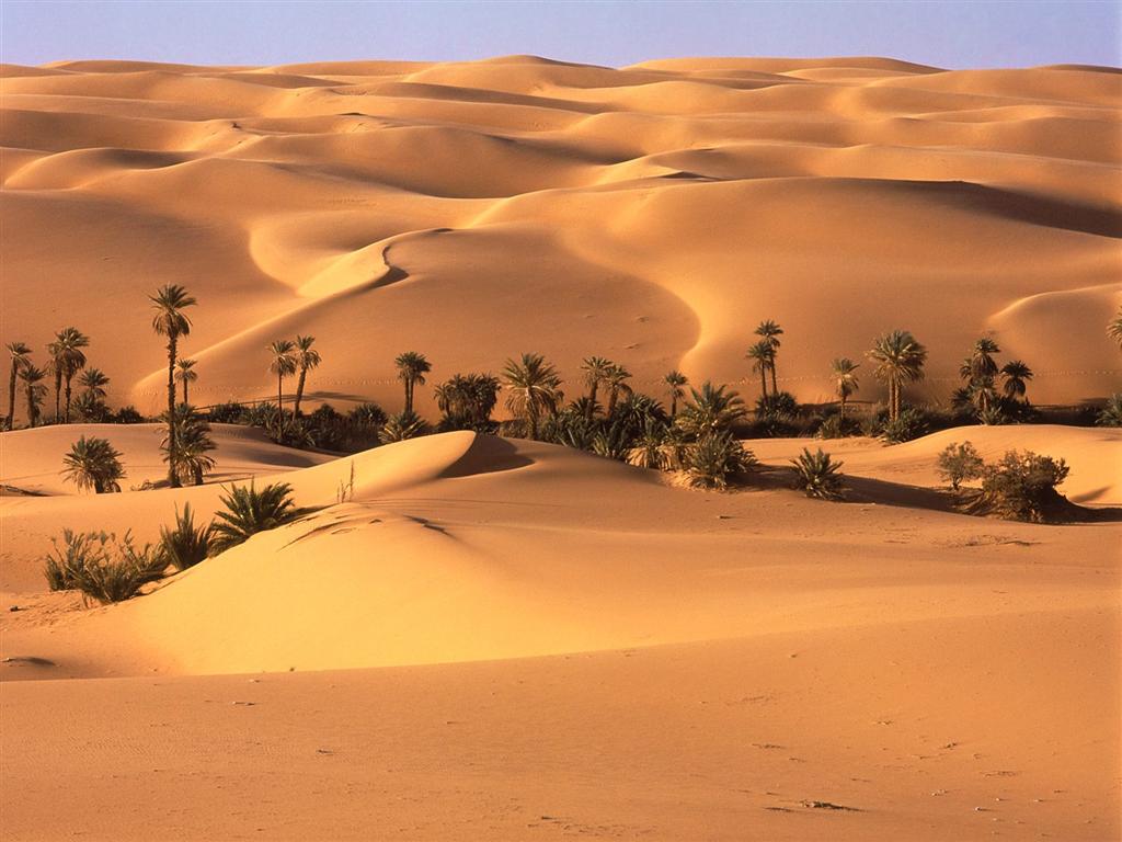 [2007021403191806_Desert Oasis, Libya - 1600x1200 - ID 32980.jpg]