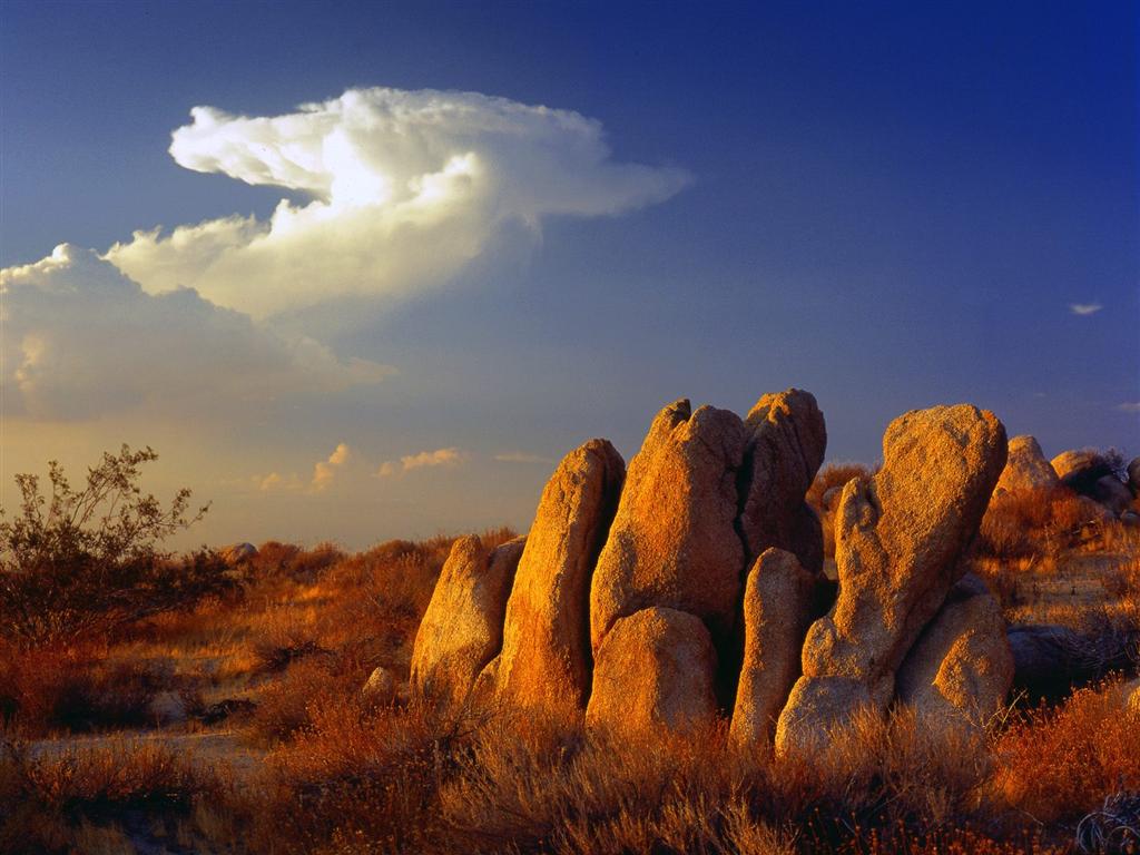 [2007021403191907_Distant Thunder, Mojave Desert, California - 160.jpg]