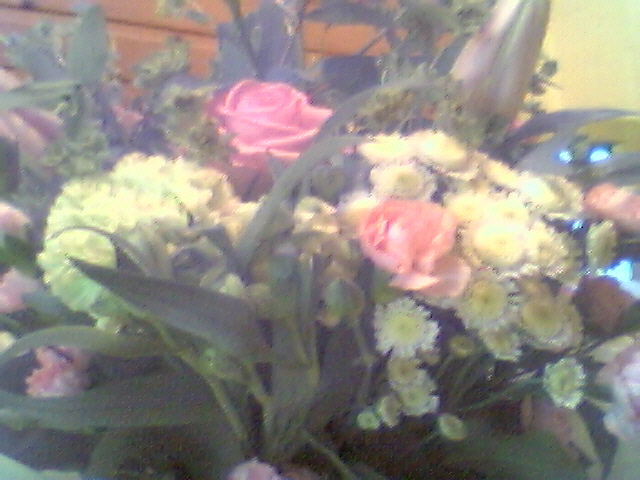 [Flowers+for+me+25th+June.jpg]