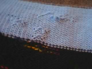 [Striped+cat+blanket+mistakes.JPG]