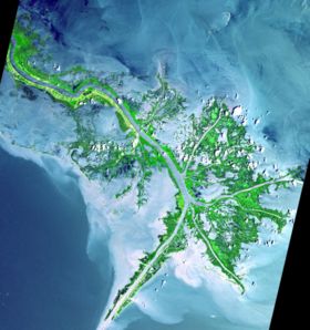 [280px-Mississippi_delta_from_space.jpg]