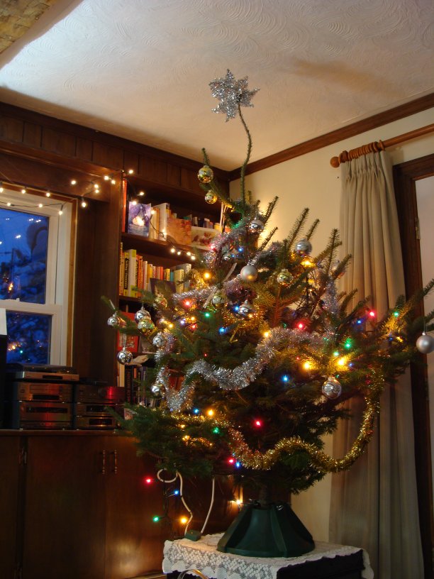[Christmas_tree.jpg]