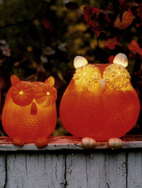 [Pumpkin+Owl_jack-o-lanterns.jpg]