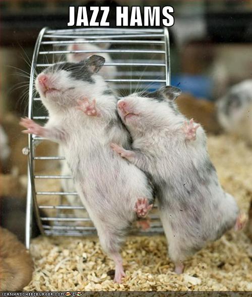 [funny-pictures-jazz-hamsters.jpg]
