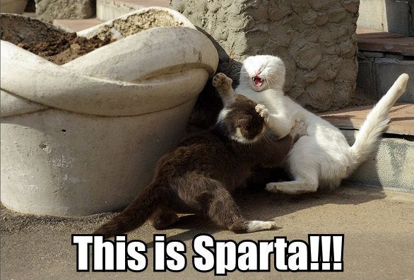 [This_Is_Sparta.jpg]