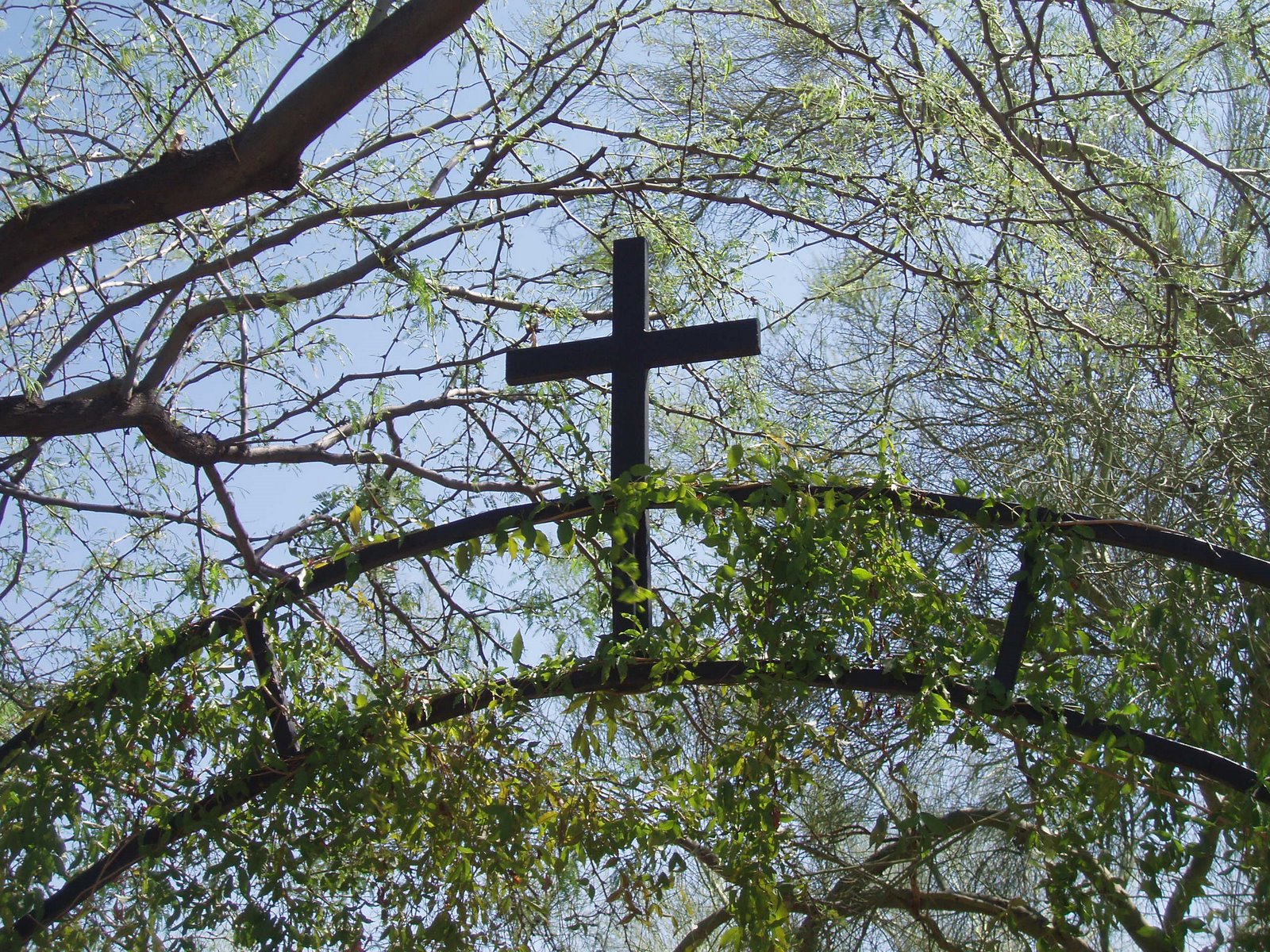 [cross+against+sky+with+branches.JPG]