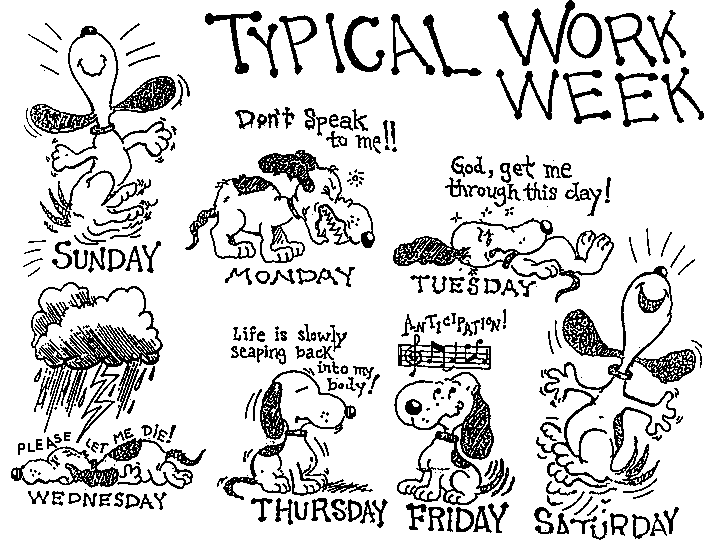 [typicalworkweek.gif]