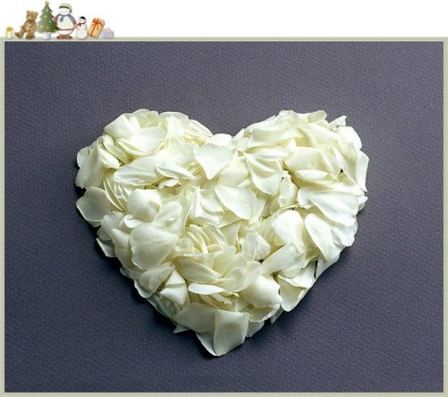 [Bentuk+Love+Roses.jpg]