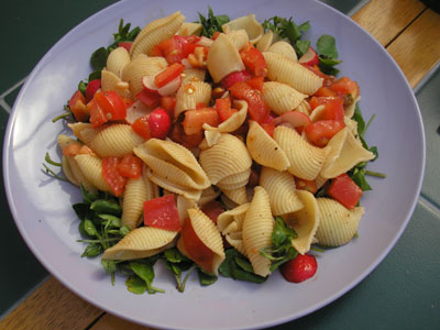 [pasta_salad_with_tomato_and-753188.jpg]