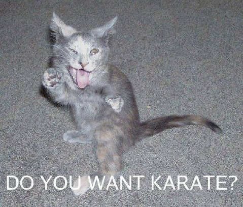 [LOL+Karate.bmp]