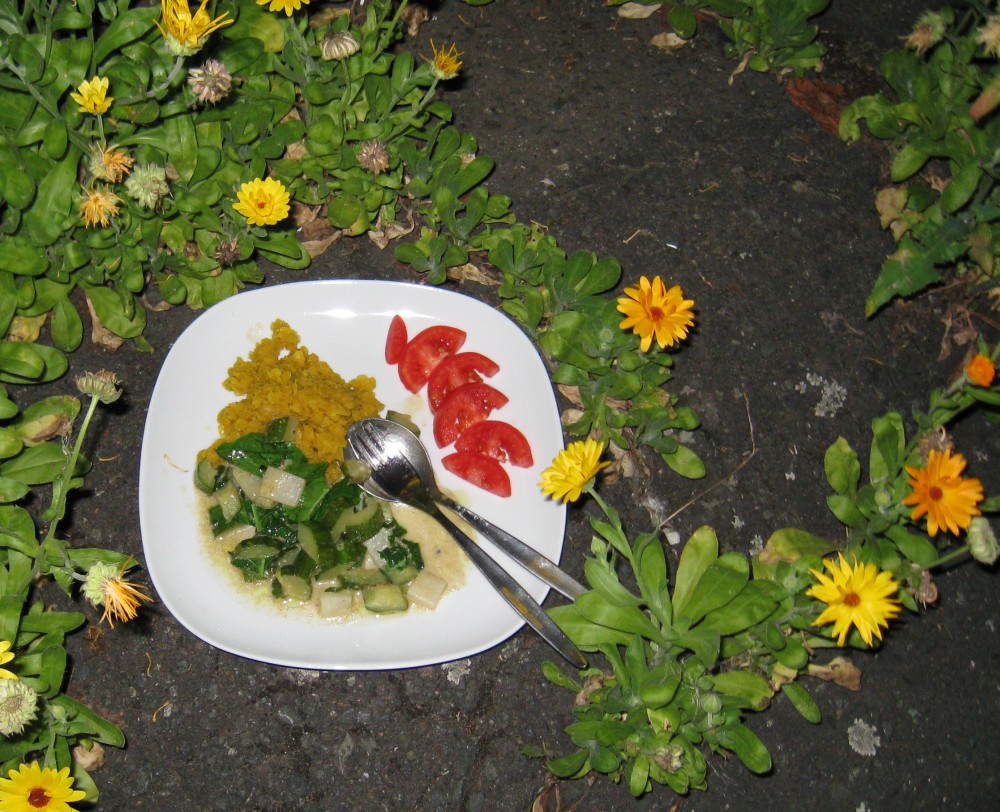 [Grünes+Gurken-Kohlrabi-Curry+mit+Dal+aus+gelben+Linsen.jpg]