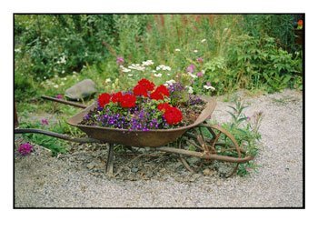 [summer+wheelbarrow.bmp]