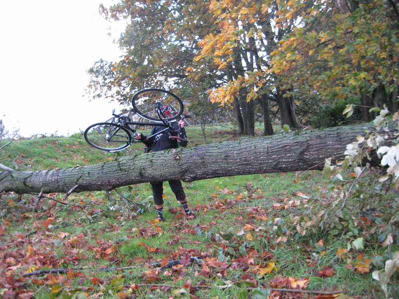 [Blog-Bike-Over-Tree.jpg]
