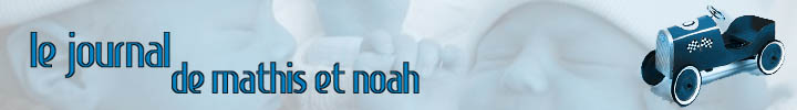 le journal de mathis et noah