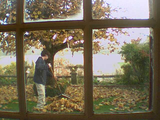 [Nov+11+2003+Sam+raking,+1.jpg]