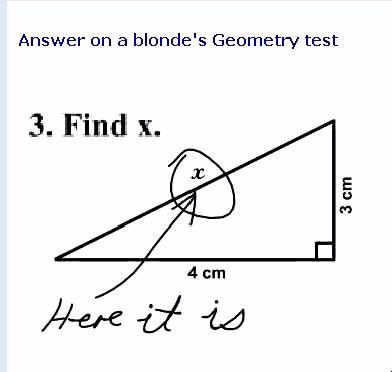 [blonde+math.jpg]