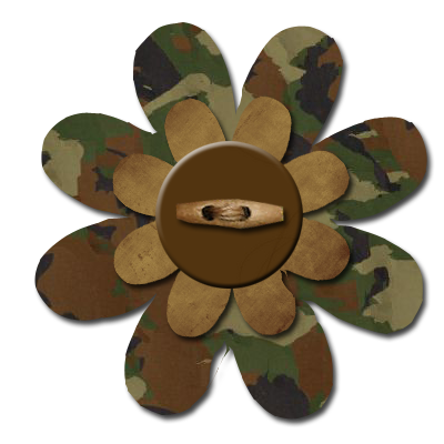 [Camouflage.png]