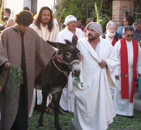 [Jesus+on+donkey.JPG]