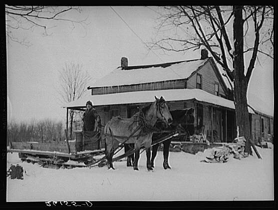 [Horses+Winter+Oswego+County.jpg]