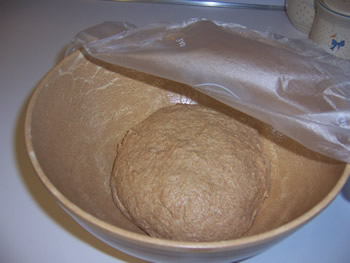 [whole-wheat-dough-ready-for-rising.jpg]
