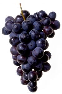 [grape.bmp]
