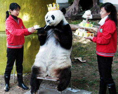 [happy-birthday-panda.jpg]